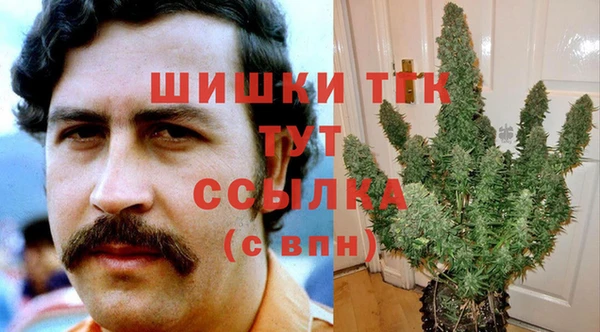 PSILOCYBIN Гусиноозёрск