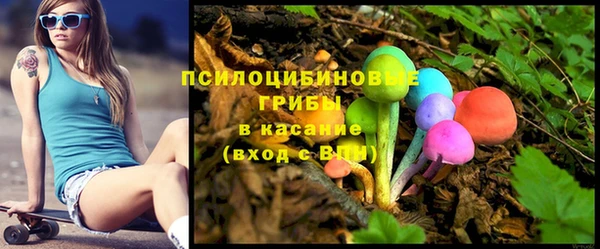 марки nbome Гусь-Хрустальный