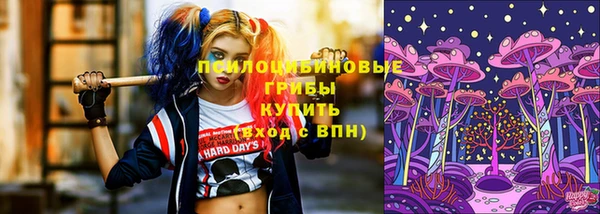 PSILOCYBIN Гусиноозёрск