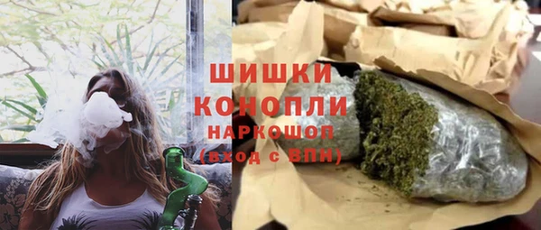 PSILOCYBIN Гусиноозёрск