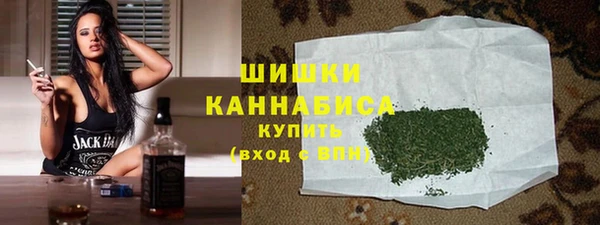 ешки Гусев