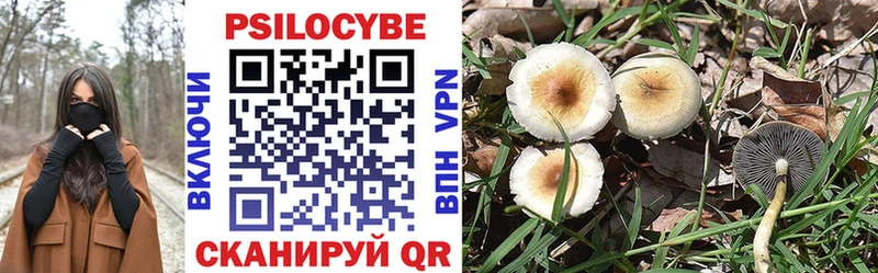 Галлюциногенные грибы Psilocybine cubensis  даркнет наркотические препараты  Звенигово  магазин   